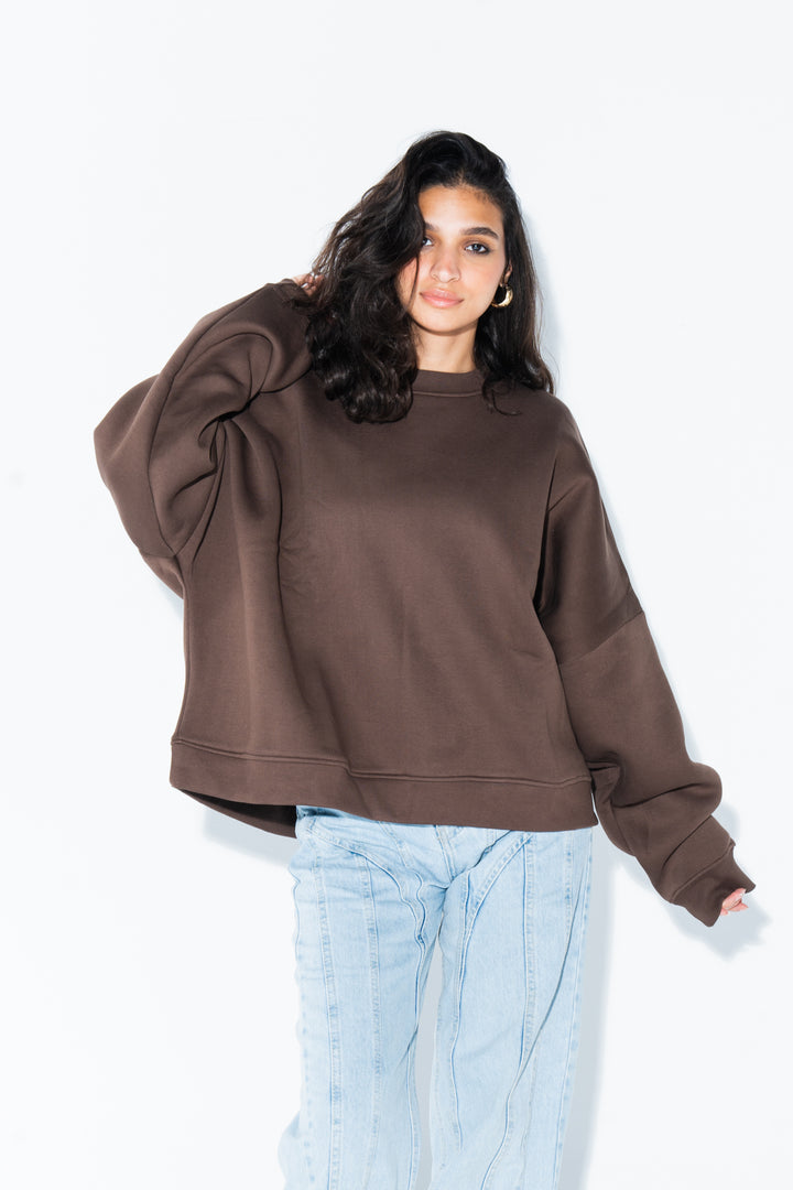 Brown Crewneck Sweatshirt