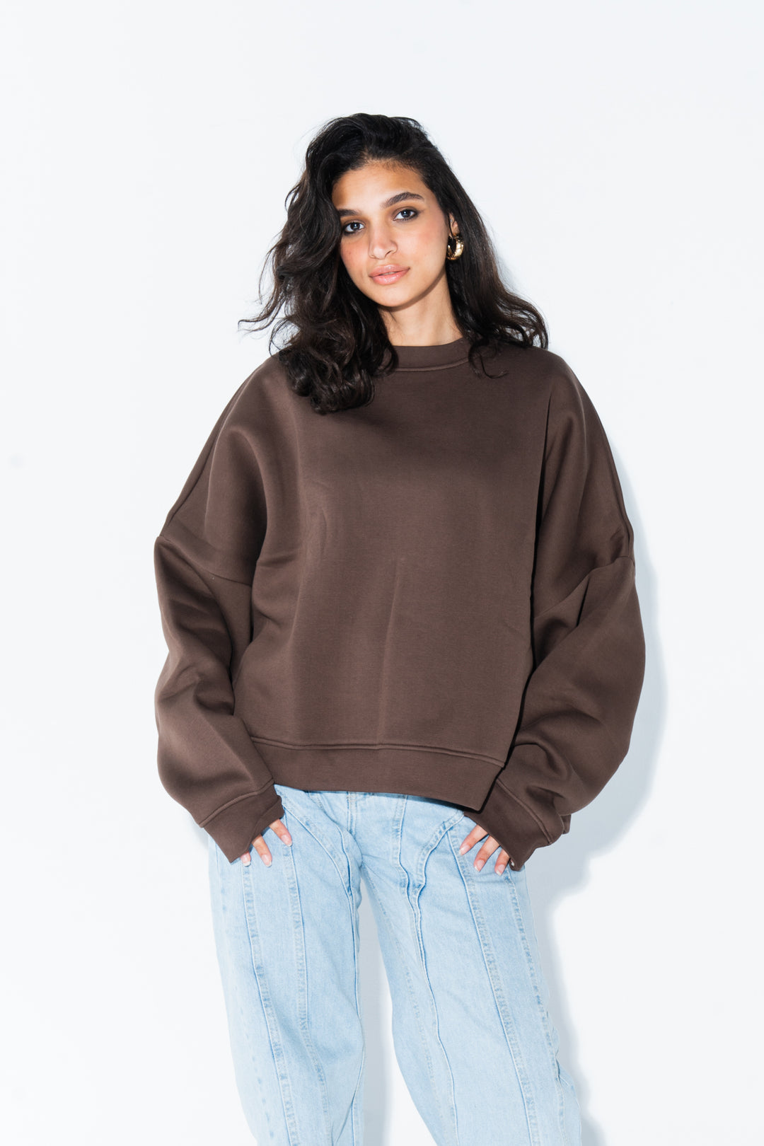 Brown Crewneck Sweatshirt