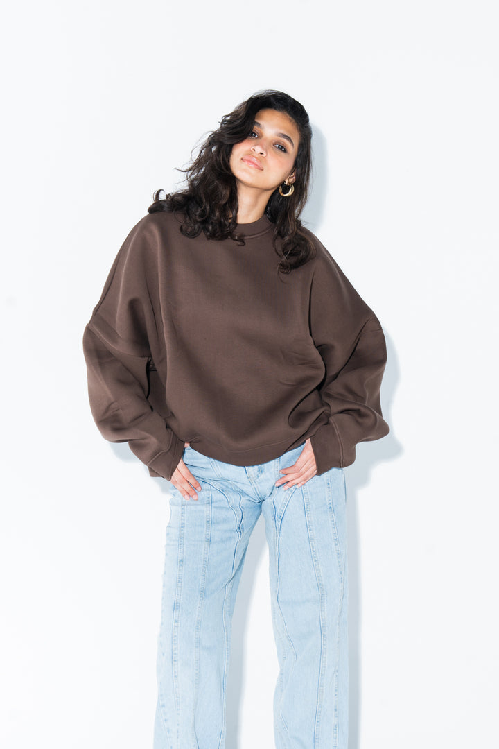 Brown Crewneck Sweatshirt