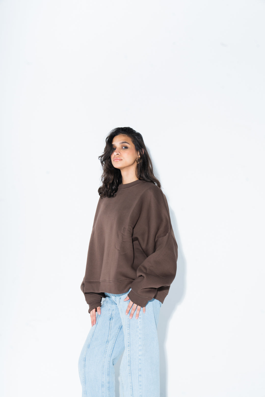 Brown Crewneck Sweatshirt