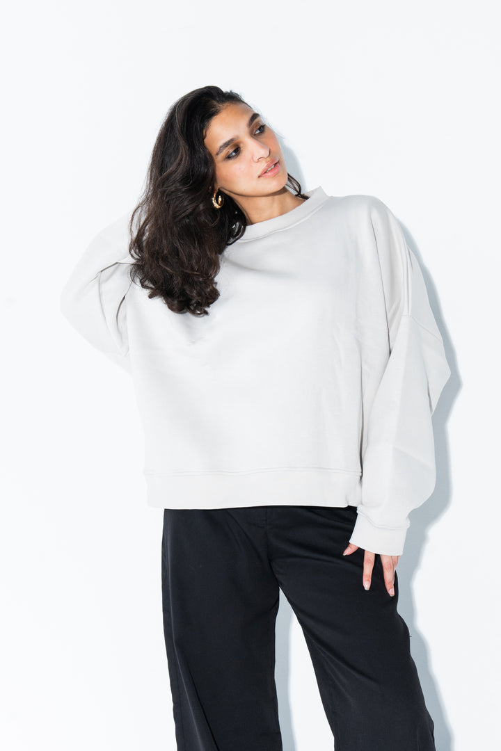 Greyish Crewneck Sweatshirt